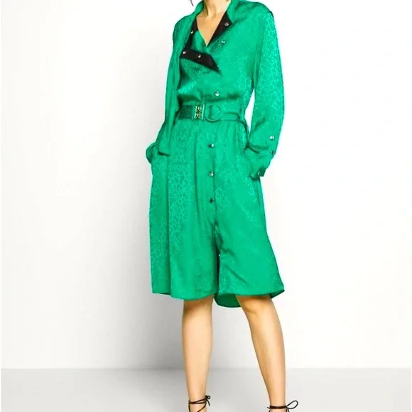 Coach draped and belted green dress.